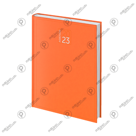 Agenda-2023-12x17-arancio-publipen